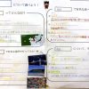 2024年ワールドレポート