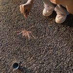 夏合宿2025その2