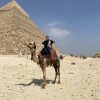 エジプトの旅2026その５